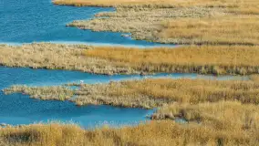 Wiosna nad jeziorem Guber z lotu ptaka, kwiecień 2026 r. - zdjęcie 29