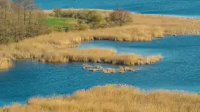Wiosna nad jeziorem Guber z lotu ptaka, kwiecień 2026 r. - zdjęcie 26