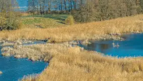 Wiosna nad jeziorem Guber z lotu ptaka, kwiecień 2026 r. - zdjęcie 36