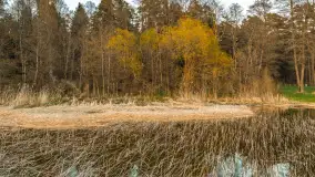 Zachód nad Darginem z drona, kwiecień 2026 r. - zdjęcie 16