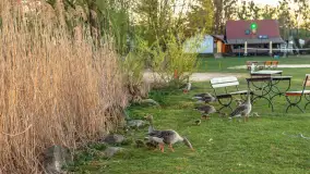Wieczór w Popielnie po zachodzie słońca, maj 2026 r. - zdjęcie 16