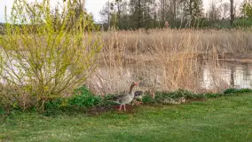 Wieczór w Popielnie po zachodzie słońca, maj 2026 r. - zdjęcie 26