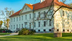 Wiosenne kadry przy pałacu Nakomiady, kwiecień 2026 - zdjęcie 26