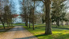 Wiosenne kadry przy pałacu Nakomiady, kwiecień 2026 - zdjęcie 28
