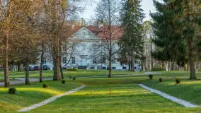 Wiosenne kadry przy pałacu Nakomiady, kwiecień 2026 - zdjęcie 4
