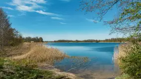 Jezioro Buwełno i okolice Marcinowej Woli, maj 2026 r. - zdjęcie 14