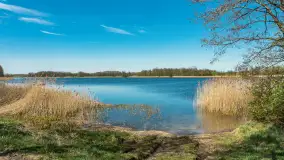 Jezioro Buwełno i okolice Marcinowej Woli, maj 2026 r. - zdjęcie 7