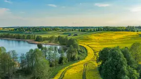 Okolice Marcinowej woli z lotu ptaka, z rzepakiem w tle... maj 2026 r. - zdjęcie 17