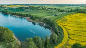 Okolice Marcinowej woli z lotu ptaka, z rzepakiem w tle... maj 2026 r. - zdjęcie 29