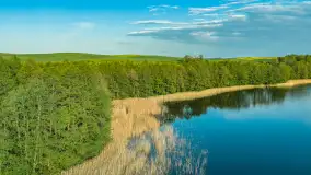 Okolice Marcinowej woli z lotu ptaka, z rzepakiem w tle... maj 2026 r. - zdjęcie 20