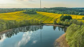 Okolice Marcinowej woli z lotu ptaka, z rzepakiem w tle... maj 2026 r. - zdjęcie 13