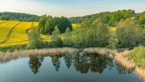 Okolice Marcinowej woli z lotu ptaka, z rzepakiem w tle... maj 2026 r. - zdjęcie 15