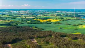 Mazury żółto - zielono - niebieskie, czyli pola i łąki pełne rzepaku, maj 2026 r. - zdjęcie 12