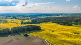 Mazury żółto - zielono - niebieskie, czyli pola i łąki pełne rzepaku, maj 2026 r. - zdjęcie 4