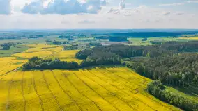 Mazury żółto - zielono - niebieskie, czyli pola i łąki pełne rzepaku, maj 2026 r. - zdjęcie 40