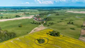 Mazury żółto - zielono - niebieskie, czyli pola i łąki pełne rzepaku, maj 2026 r. - zdjęcie 11
