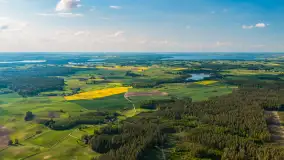Mazury żółto - zielono - niebieskie, czyli pola i łąki pełne rzepaku, maj 2026 r. - zdjęcie 16
