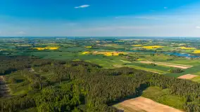 Mazury żółto - zielono - niebieskie, czyli pola i łąki pełne rzepaku, maj 2026 r. - zdjęcie 18