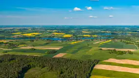 Mazury żółto - zielono - niebieskie, czyli pola i łąki pełne rzepaku, maj 2026 r. - zdjęcie 2
