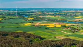 Mazury żółto - zielono - niebieskie, czyli pola i łąki pełne rzepaku, maj 2026 r. - zdjęcie 31