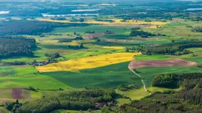 Mazury żółto - zielono - niebieskie, czyli pola i łąki pełne rzepaku, maj 2026 r. - zdjęcie 27