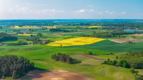 Mazury żółto - zielono - niebieskie, czyli pola i łąki pełne rzepaku, maj 2026 r. - zdjęcie 29