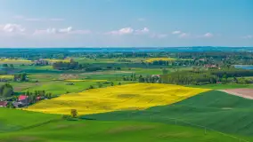 Mazury żółto - zielono - niebieskie, czyli pola i łąki pełne rzepaku, maj 2026 r. - zdjęcie 20