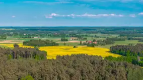 Mazury żółto - zielono - niebieskie, czyli pola i łąki pełne rzepaku, maj 2026 r. - zdjęcie 44