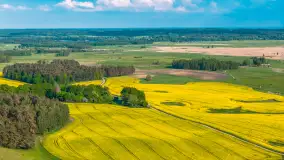 Mazury żółto - zielono - niebieskie, czyli pola i łąki pełne rzepaku, maj 2026 r. - zdjęcie 35