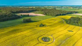 Mazury żółto - zielono - niebieskie, czyli pola i łąki pełne rzepaku, maj 2026 r. - zdjęcie 37