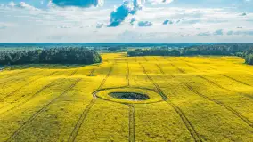 Mazury żółto - zielono - niebieskie, czyli pola i łąki pełne rzepaku, maj 2026 r.