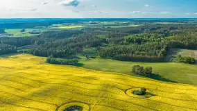 Mazury żółto - zielono - niebieskie, czyli pola i łąki pełne rzepaku, maj 2026 r. - zdjęcie 36