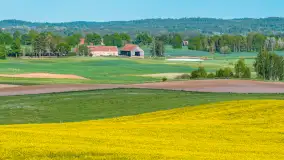 Mazury żółto - zielono - niebieskie, czyli pola i łąki pełne rzepaku, maj 2026 r. - zdjęcie 24