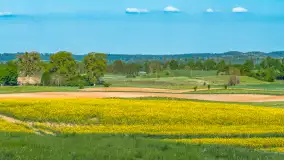 Mazury żółto - zielono - niebieskie, czyli pola i łąki pełne rzepaku, maj 2026 r. - zdjęcie 26