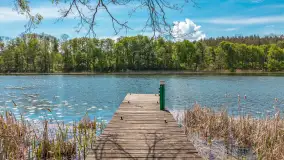 Jezioro Kisajno i Łabędzi Ostrów, maj 2026 r. - zdjęcie 12