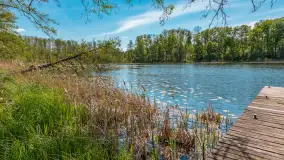 Jezioro Kisajno i Łabędzi Ostrów, maj 2026 r. - zdjęcie 2