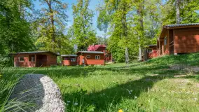 Jezioro Kisajno i Łabędzi Ostrów, maj 2026 r. - zdjęcie 16