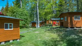 Jezioro Kisajno i Łabędzi Ostrów, maj 2026 r. - zdjęcie 25