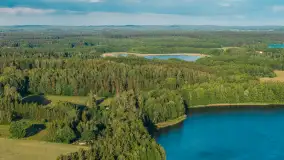 Jezioro Piecek, czerwiec 2026 r. - zdjęcie 31