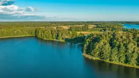 Jezioro Piecek, czerwiec 2026 r. - zdjęcie 30