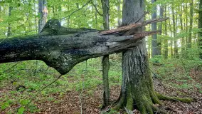 Rezerwat Przyrody Sztynort - zdjęcie 2