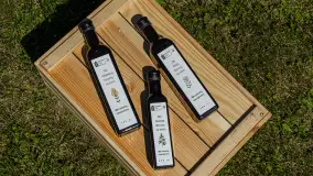 W gospodarstwie Mazurski Plon - uprawy praca i produkty - zdjęcie 3