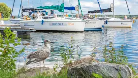 Dzień ze szkołą żeglarstwa Busola, przystań Nautica i jezioro Święcajty - zdjęcie 36