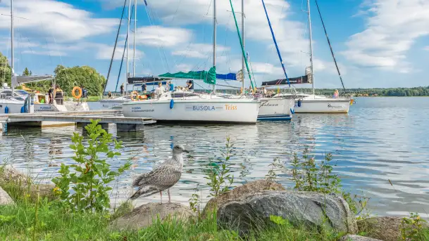 Dzień ze szkołą żeglarstwa Busola, przystań Nautica i jezioro Święcajty