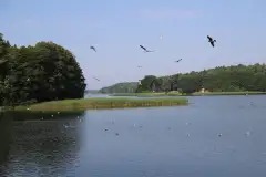 Szlak Mazurskich Legend - trasa rowerowa - zdjęcie 14