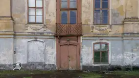 Pałac w Drogoszach - zdjęcie 18