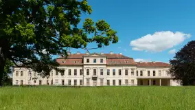 Pałac w Drogoszach - zdjęcie 20