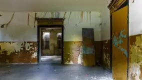 Dwór w Kotkowie - zdjęcie 10
