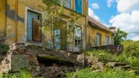 Dwór w Kotkowie - zdjęcie 16