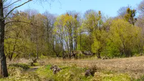 Most kolejowy - zdjęcie 3